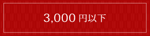 3,000 円以下