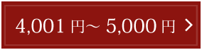 4,001 円～ 5,000 円